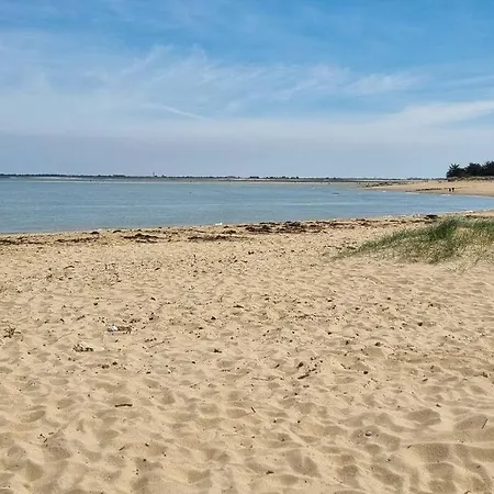 Maison Climatisée, 500 M De La Plage, Grand Jardin